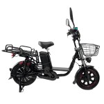 163.0 vacuum tires, red rim wheels, beach tires, Yilan Princess II rear dual shock absorption lithium battery electric bicycle